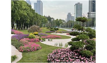 來現(xiàn)場打卡，感受“美麗無錫”的美好